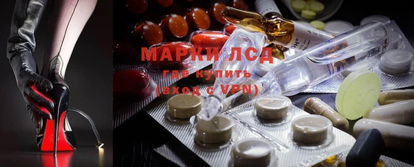 прущие крисы Надым