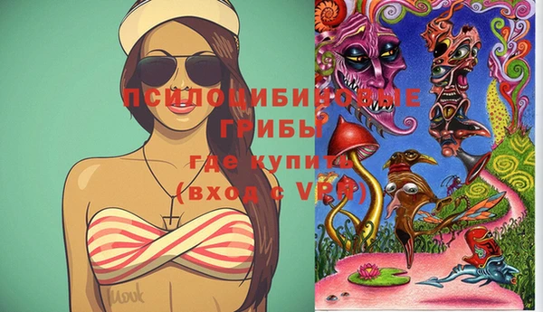 прущие крисы Надым