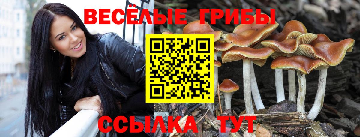 Галлюциногенные грибы Psilocybe  Вход с VPN  Челябинск 